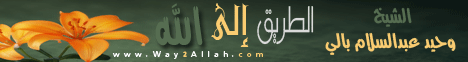 الطريق الي الله(2-2-2012)روضات الجنات لـالشيخ وحيد عبدالسلام بالي - موقع الطريق إلى الله