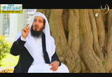 سخروا أنفسهم لله( 23/7/2014) قبيل الغروب