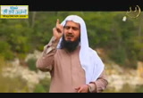 يحب التوابين-غنائم متلاحقة( 25/7/2014) قبيل الغروب