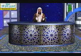 سورة آل عمرن ج1( 26/8/2014)  مواقع النجوم 