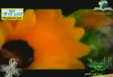 اللباس- عقبى الدار