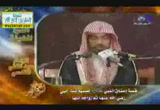 (6) أزواج النبي صلي الله عليه وسلم ج 2 -  دروس السيرة النبوية