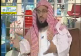 ( 3)التدين وثقافة الموت2- نبض الكلام
