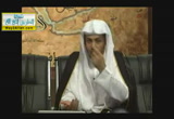 عاطفة الأبوة عند نبي الله نوح عليه السلام- قصص الأنبياء 