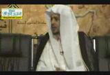 نوح عليه السلام مع ابنه قبل الغرق - قصص الأنبياء