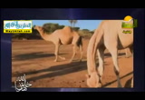 الصبر والاحسان ( 10/9/2015 ) هذا خلق الله