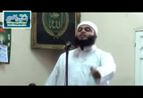 الفيل والطائر الصغير  -خطب الجمعة