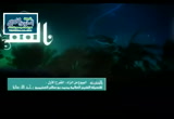35- باب الشروط فى البيع2 (الشرح الأول لكتاب البيوع من زاد المستقنع)