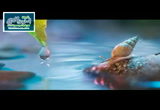 فضل صلاة الضحى (فقه الصلاة)
