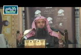 الحديث 107 من مناقب أبي طلحة رضي الله عنه (شرح ثلاثيات مسند الأمام أحمد )