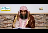 الاسم الممدود ( 1/3/2016 ) اللغة العربية