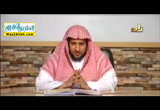 المحاضرة الرابعة و العشرون -حق الراعى على الرعية ( 3/5/2016 ) التربية الاسلامية