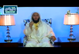 الحلقة الخامسة عشر (عامر بن الظرب بن عمر العدواني) أشذاء وأنداء