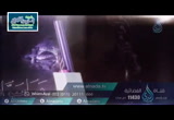حقيقة التوكل (7/6/2016) ونفس وما سواها
