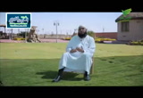 نور (20/6/2016 )