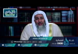 والمحصنات من النساء إلا ما ملكت أيمانكم (22/6/2016) لهذا أنزلت