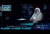 ألم تر إلى الذين قيل لهم كفوا أيديكم (23/6/2016) لهذا أنزلت
