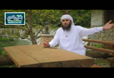 أكثر مكان لأمان السفن  (27/6/2016)ثمرات العقول