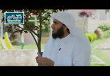 قصة صديقان (28/6/2016) حكاية ومغزى 