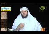 أنثى الصقور تدافع عن فراخهم (28/6/2016)أحلى فطار