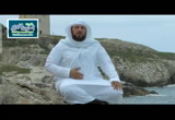 25 |  الشفاعة الجزء الثالث | العالم الأخير