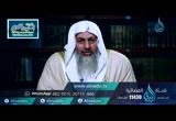ولا تطرد الذين يدعون ربهم بالغدوة والعشي (4/7/2016) لهذا أنزلت