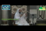 وقفات مع سورة الحجر - تفسير موجز
