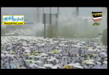 يوم عرفه ( 11/9/2016 )