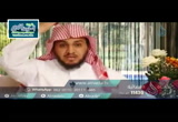 قصة أم سيدنا موسى عليه السلام 11 (قصص النساء في القرأن)