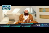 القول على الله بغير علم - لسانك حصانك