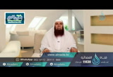 التكلم بالباطل- لسانك حصانك 