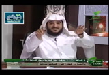 الحلقة 4 ( فنون الحياة الزوجية ) أحلى بيت 