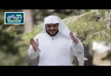 ( أدركونى ) أرض الحب 