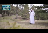( مواقع التواصل ) أرض الحب 