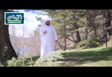 ( نواجذ من ذهب ) أرض الحب 