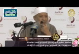 شرح حديث الافك 7 (28-12-2016)
