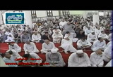  سعادة الدارين فى بر الوالدين -و بالوالدين إحسانا -خطبة الجمعة