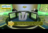 حماية البيئه ( 19/4/2017 ) قيمنا