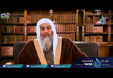 ( 5)و الذين يرمون أزواجهم و لم يكن لهم شهداء...(  لهذا أنزلت)