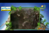 الارزاق ( 2/6/2017 ) احلى فطار