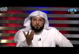 الحلقة 7 ( تحقيق )