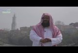 ( 14 ) يعلمهم الادب صلى الله عليه وسلم  ( في حجر الحبيب )
