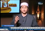 (14) الإمام مالك ابن أنس 6 (الأئمة الأربعة)
