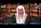 ( 18) وَمَا كُنتُمْ تَسْتَتِرُونَ أَن يَشْهَدَ عَلَيْكُمْ سَمْعُكُمْ وَلَا أَبْصَارُكُم( لهذا أنزلت)