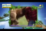 أغرب الصدقات( 19/6/2017)أحلى فطار 