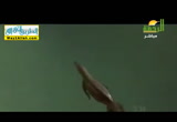 التنافس( 6/7/2017)هذا خلق الله