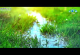(4) الافتراء والبهتان (ذكرى 1438 هـ)