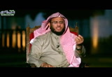 (28) يحبهم ويحبونه (فأحسن تأديبي)