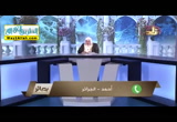 الكفارات الخاصه ( 29/9/2017 ) بصائر