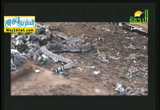 عندما يغلب النمل الأفاعي( 26/10/2017) هذا خلق الله